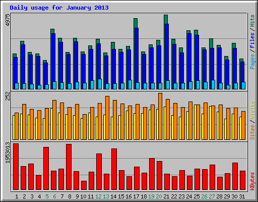 Daily usage for January 2013