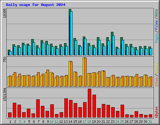 Daily usage for August 2024