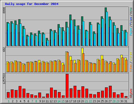 Daily usage for December 2024