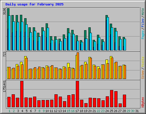 Daily usage for February 2025