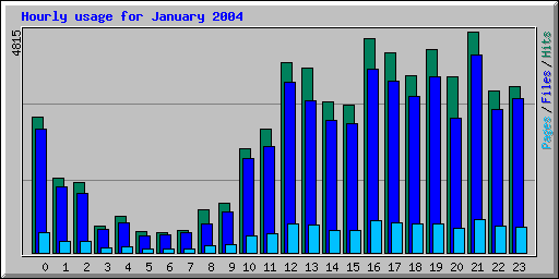 Hourly usage for January 2004