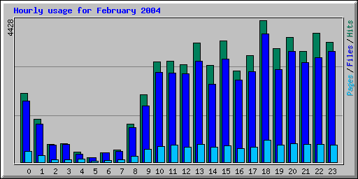 Hourly usage for February 2004