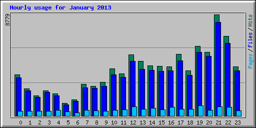 Hourly usage for January 2013