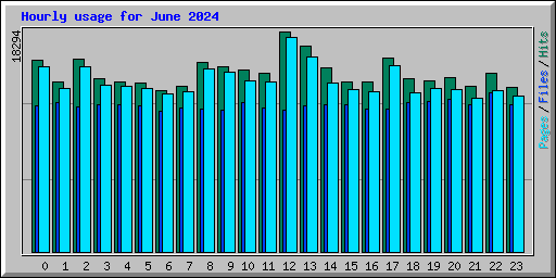 Hourly usage for June 2024