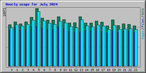 Hourly usage for July 2024