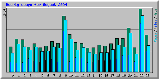 Hourly usage for August 2024