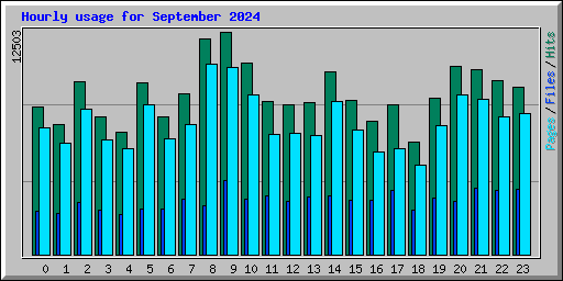 Hourly usage for September 2024