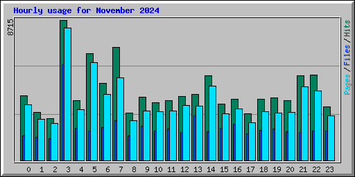 Hourly usage for November 2024