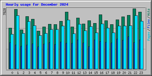 Hourly usage for December 2024