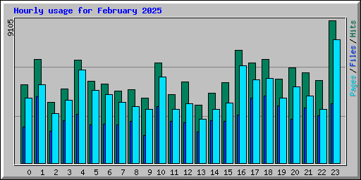 Hourly usage for February 2025