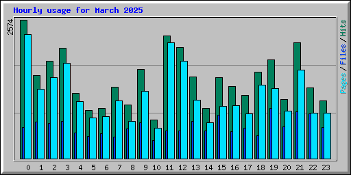 Hourly usage for March 2025