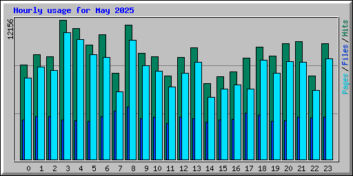 Hourly usage for May 2025
