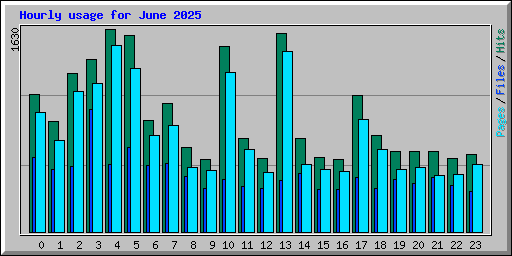 Hourly usage for June 2025