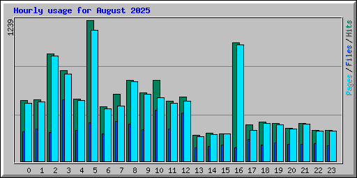 Hourly usage for August 2025