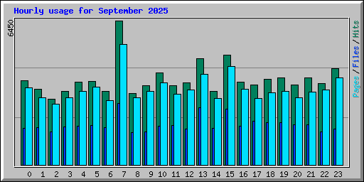 Hourly usage for September 2025