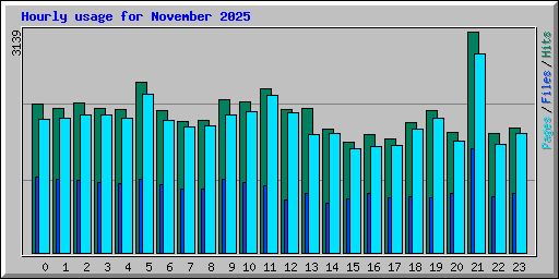 Hourly usage for November 2025