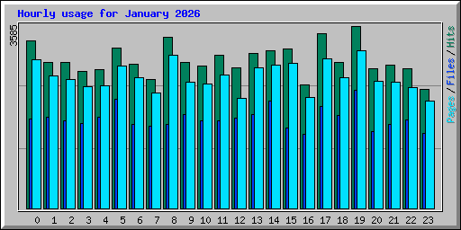 Hourly usage for January 2026