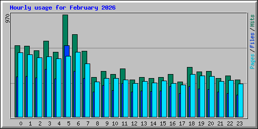Hourly usage for February 2026