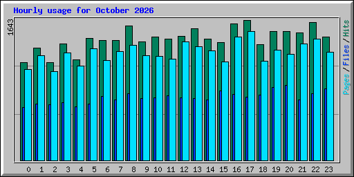 Hourly usage for October 2026